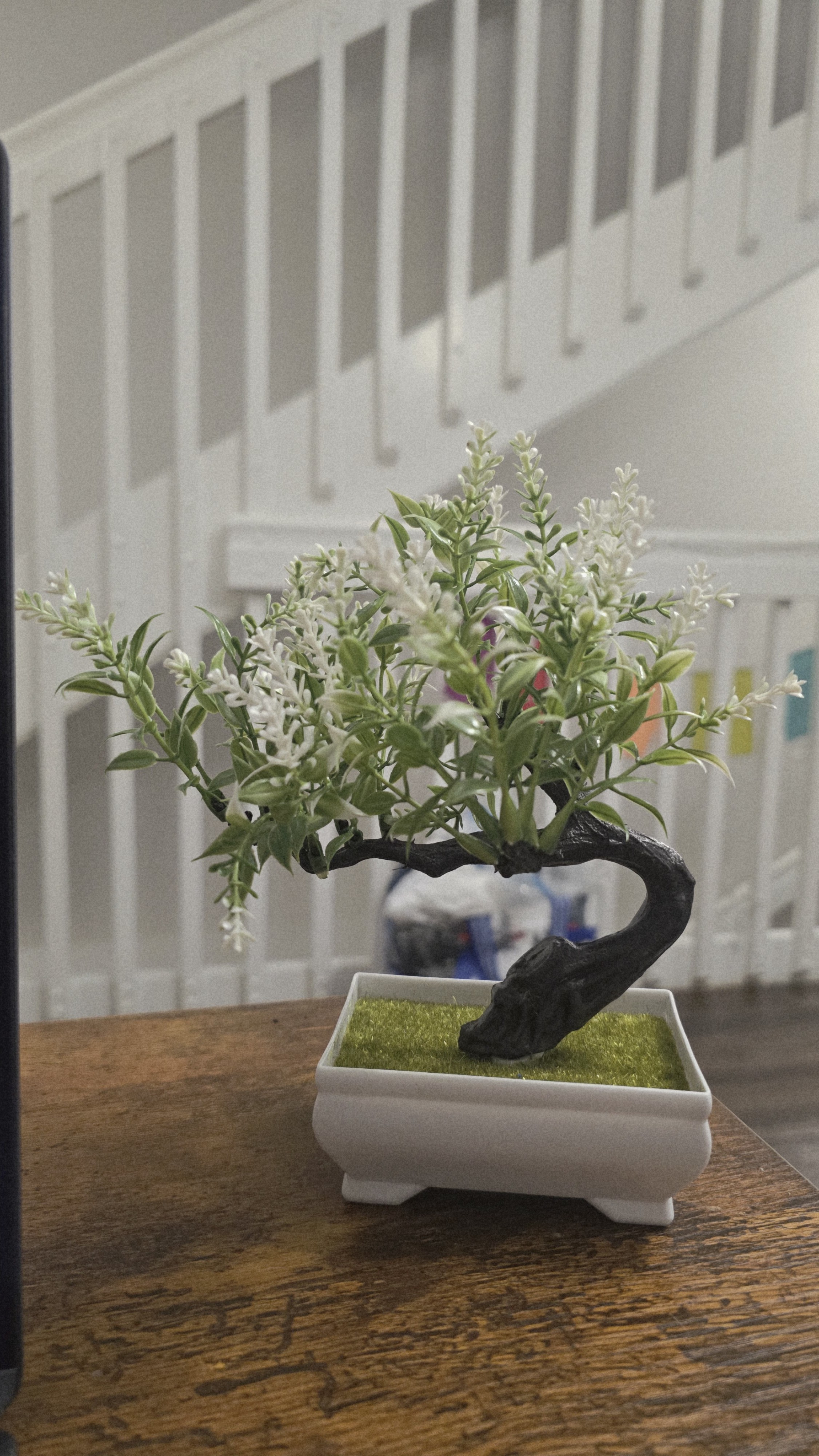 Project Content Image - 2