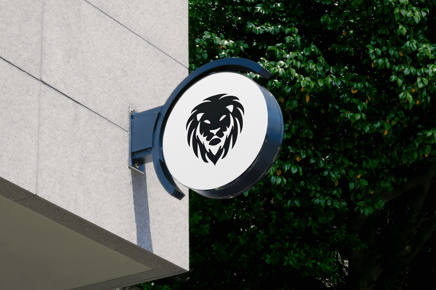 BONN Cerveza de Autor Design Identity and Branding