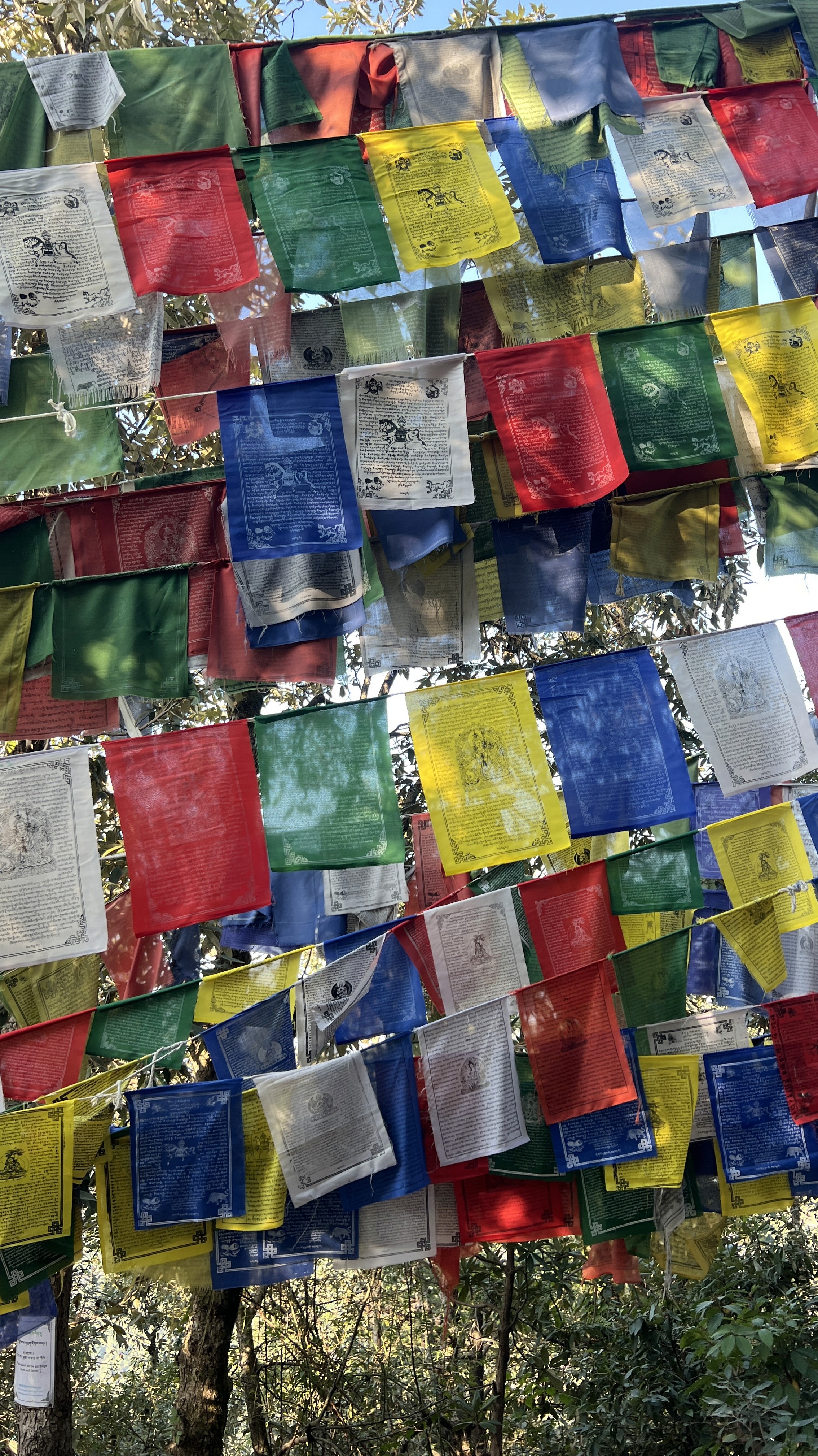 buddhist flags, retreat india