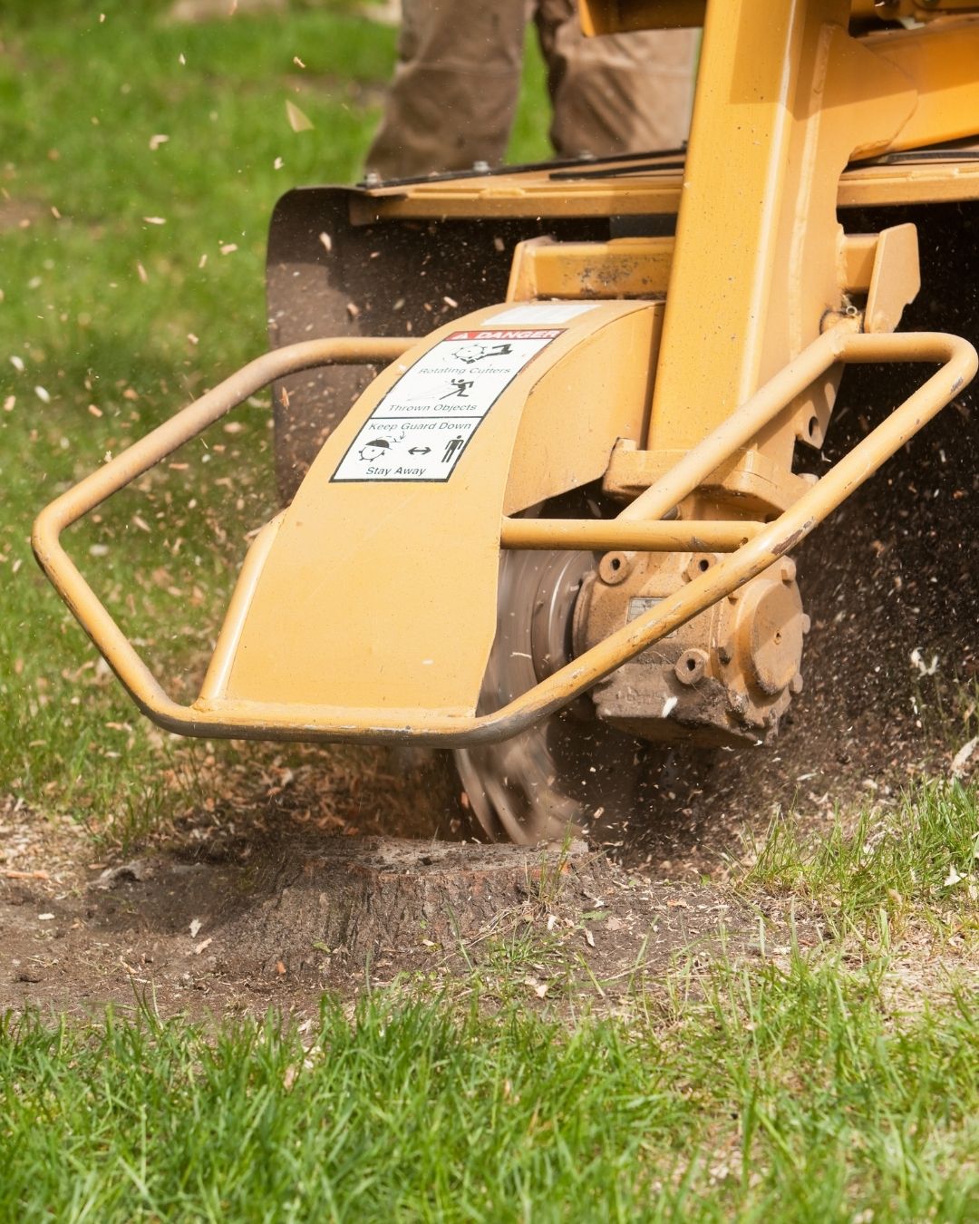 How Can We Help With Residential Stump Removal 