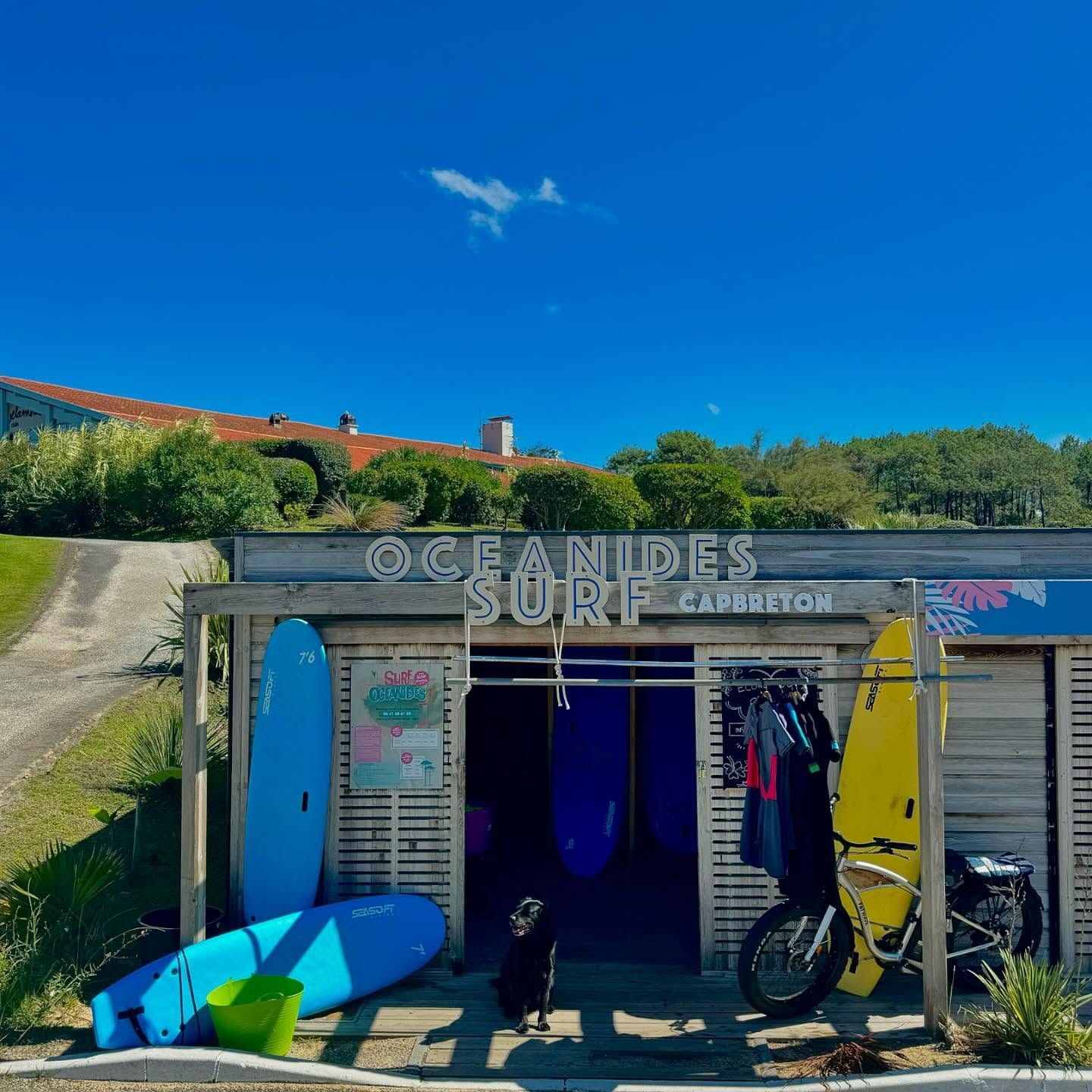 Coach explaining stuff to an athlete