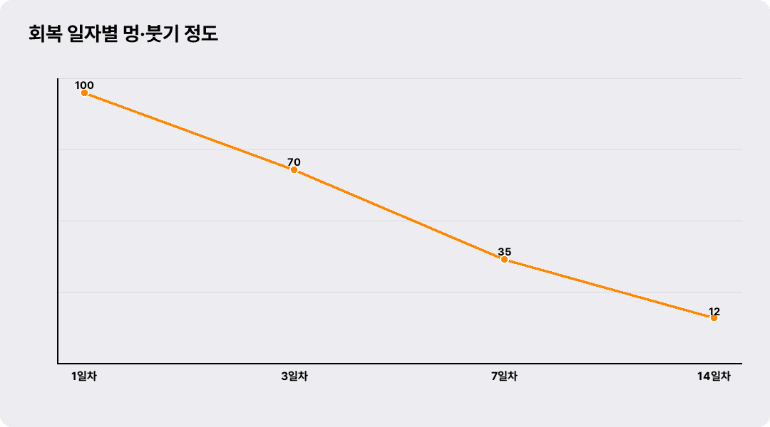 회복 일자별 멍·붓기 정도