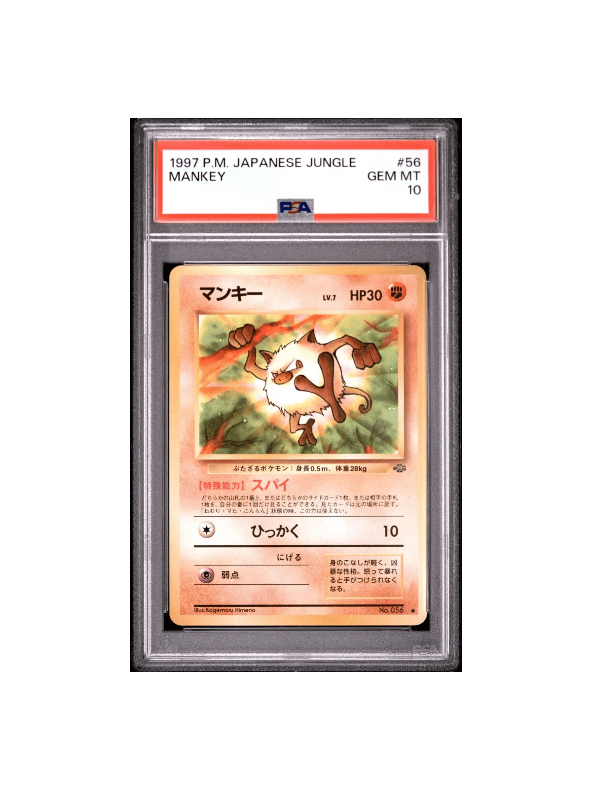 PSA10 マンキー ○ : 旧裏 [PMCG2 No.056] - PSA10 郵送買取