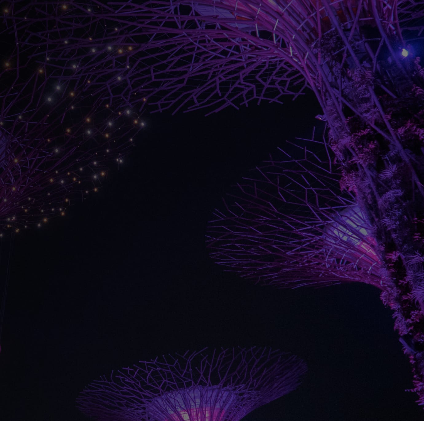 Supertree Grove in Singapore