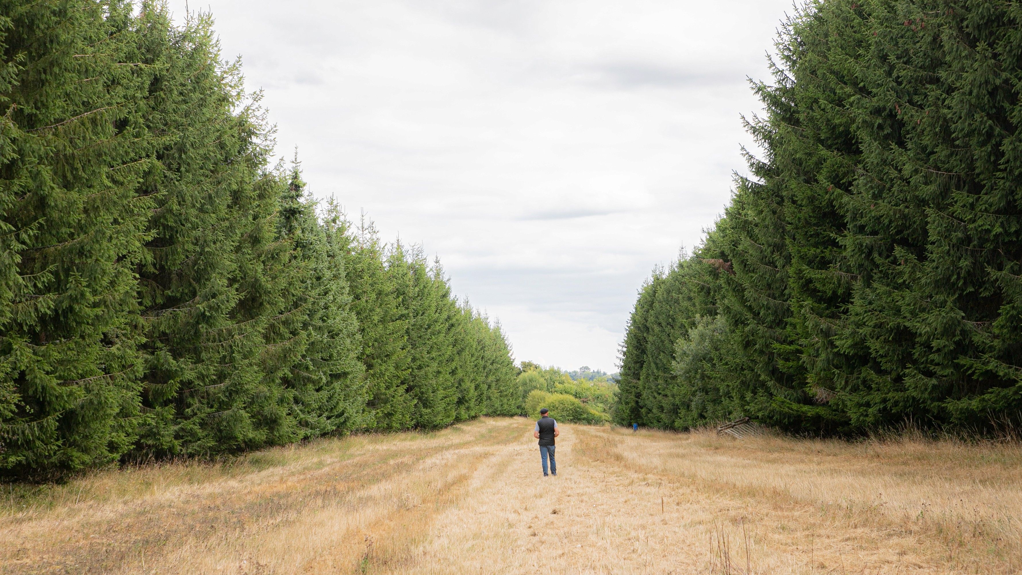 Man and two girls taking a selfie in a tent