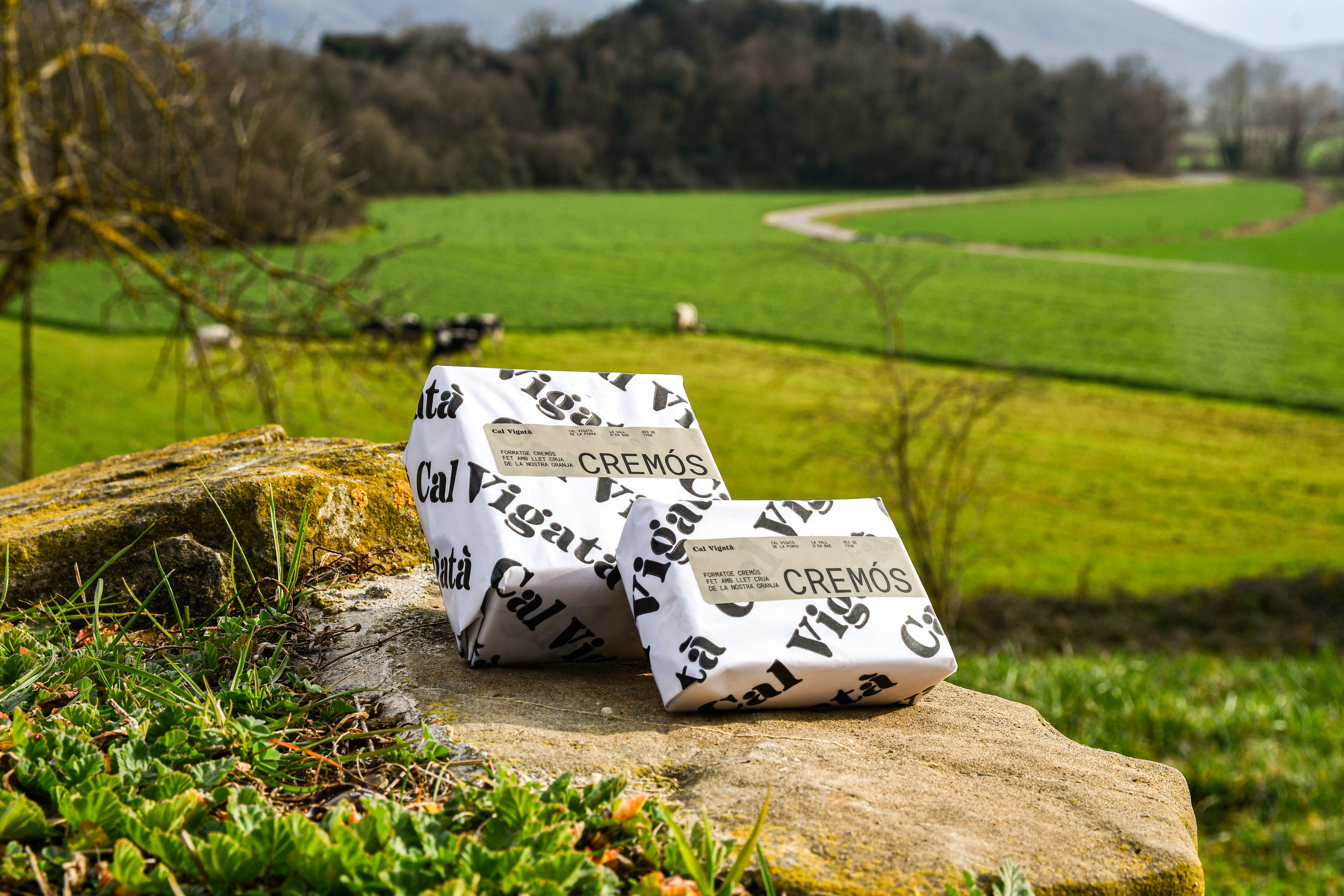 "Cremós" cheese wedges wrapped in custom-branded paper with a diagonal logo pattern, set against a natural mossy stone and a green pasture background.