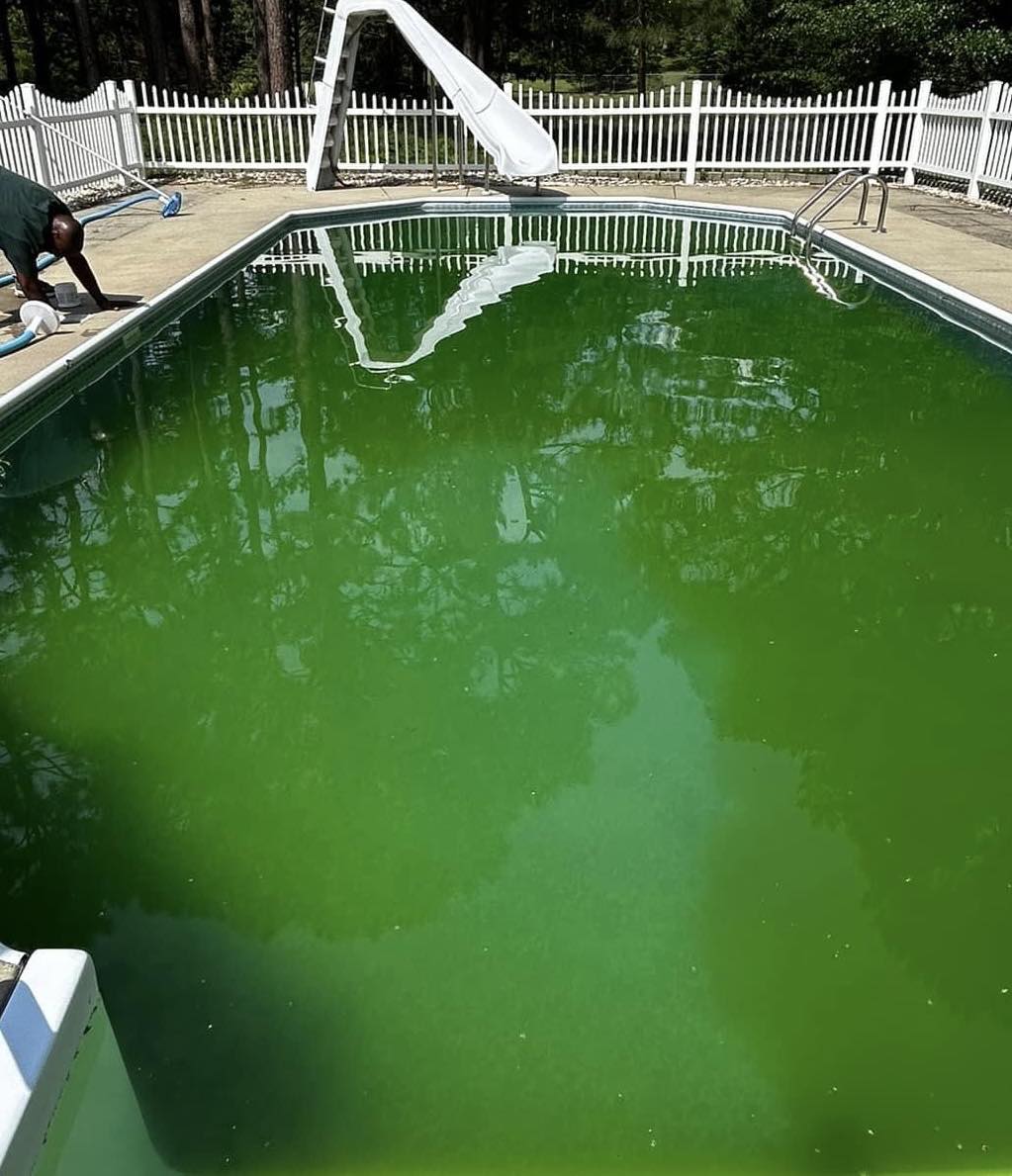 green pool