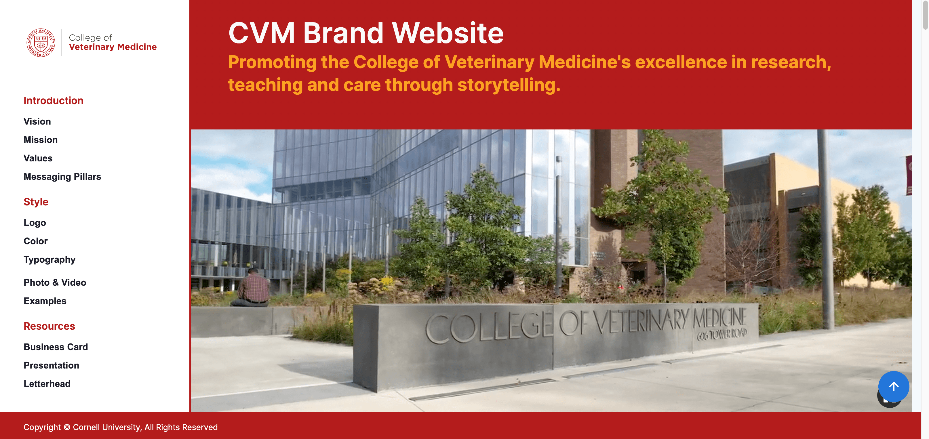 CVM branding website screenshot