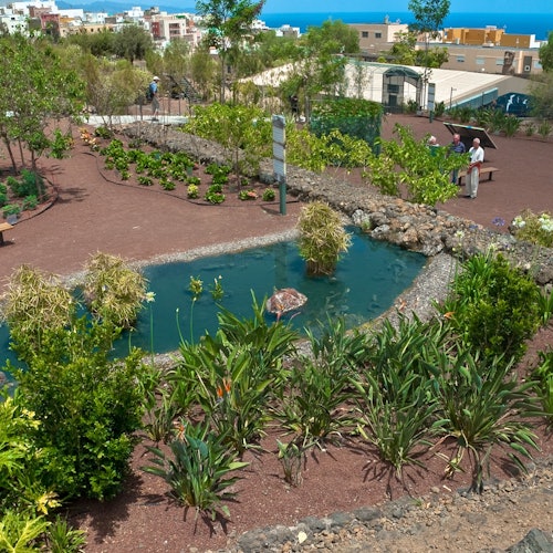 有毒的花園 + 拉帕努伊