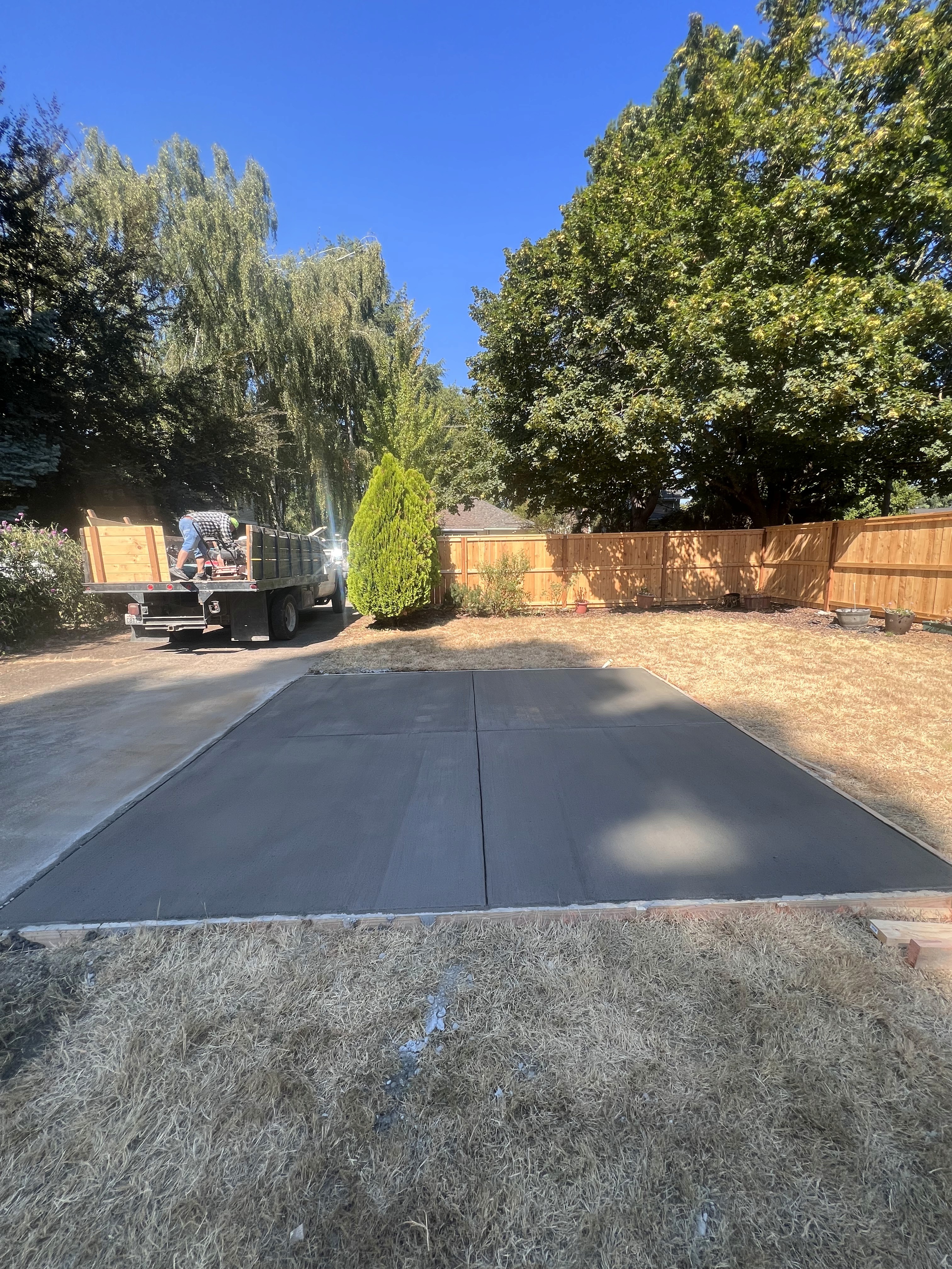 Modern living room with abstract art, beige sectional sofa, indoor plants, and large windows.
