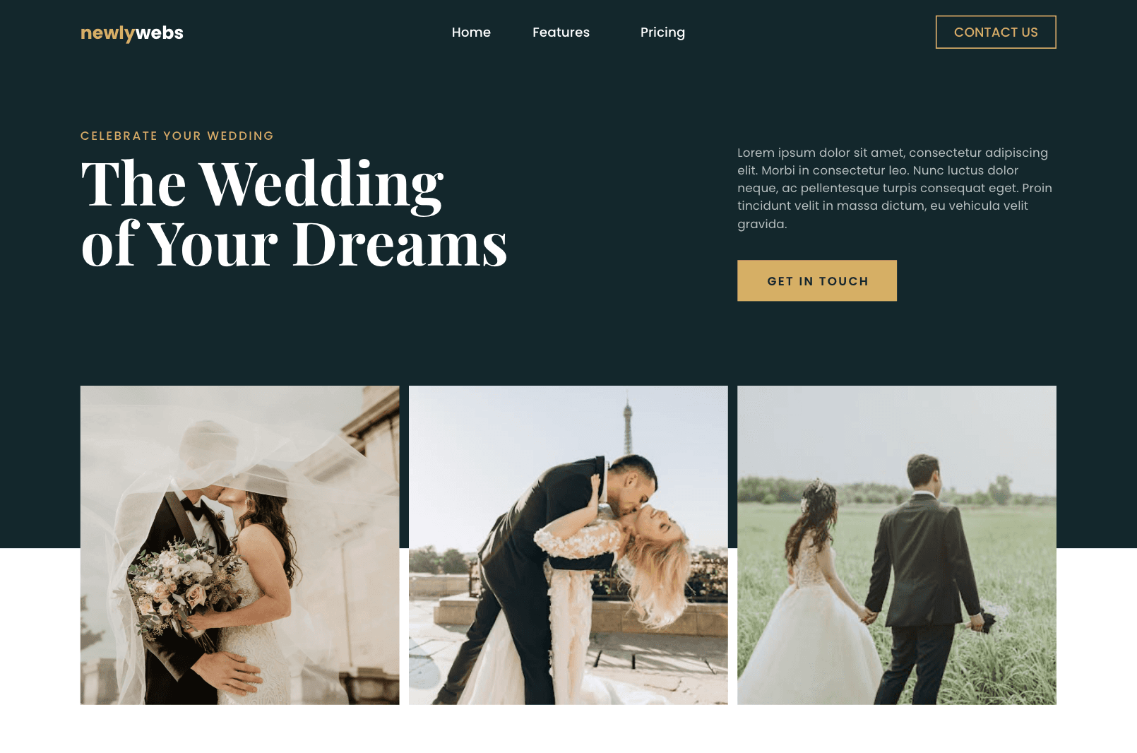 Website Design - Weddings - Devon