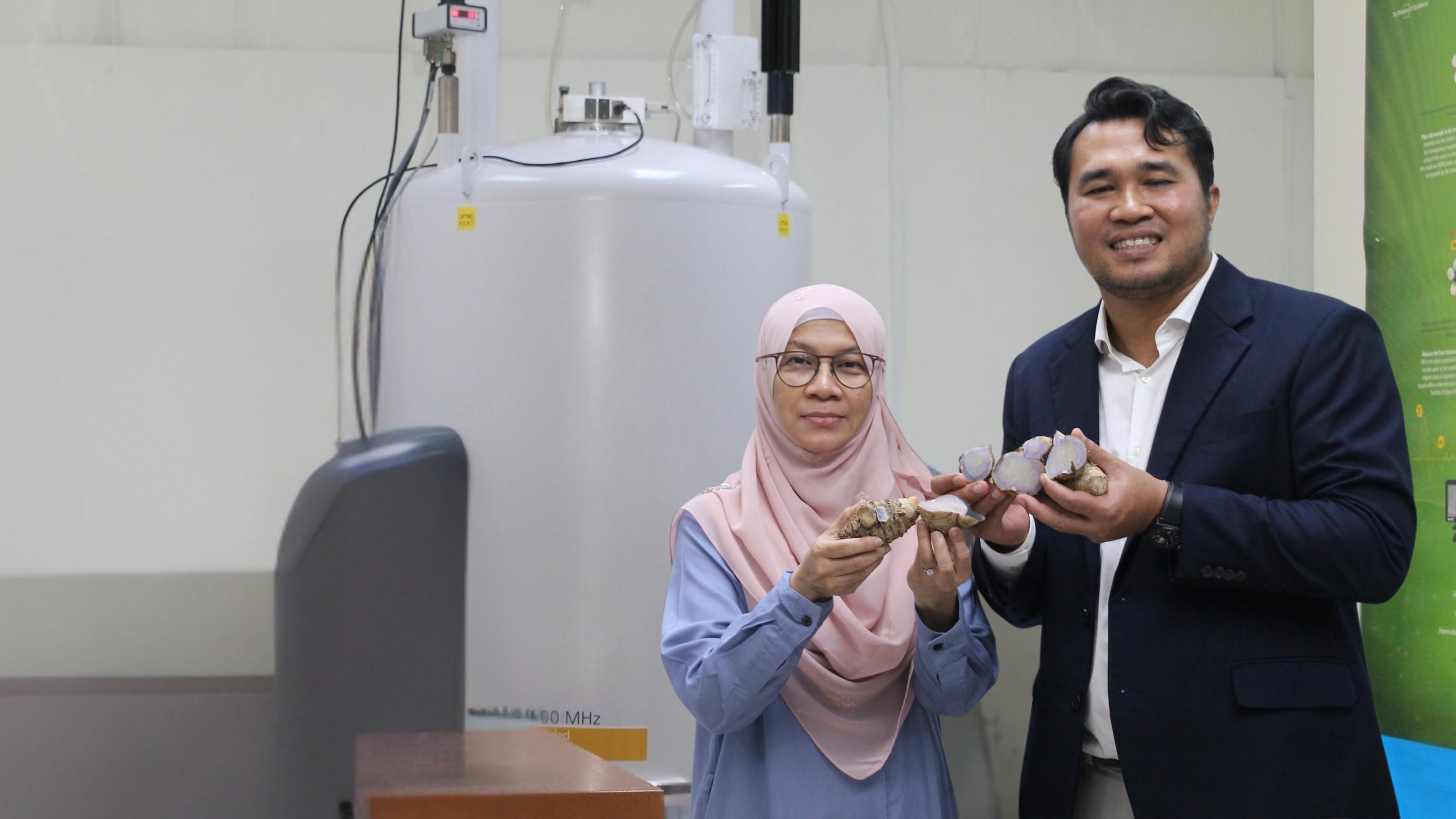 wakil naturmeric membuat penyelidikan kunyit hitam di varian