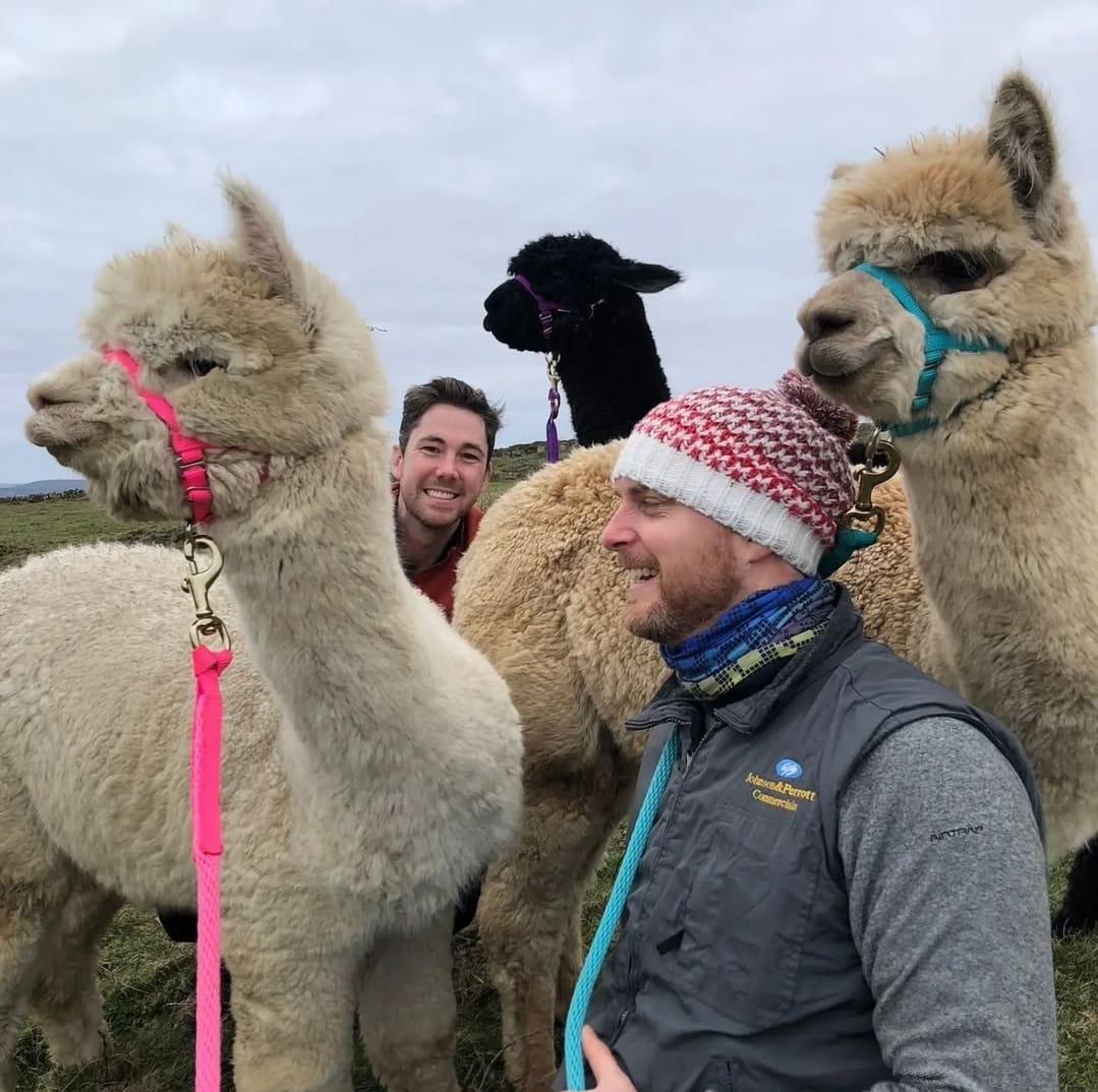 Animal at The Fairy Farmers