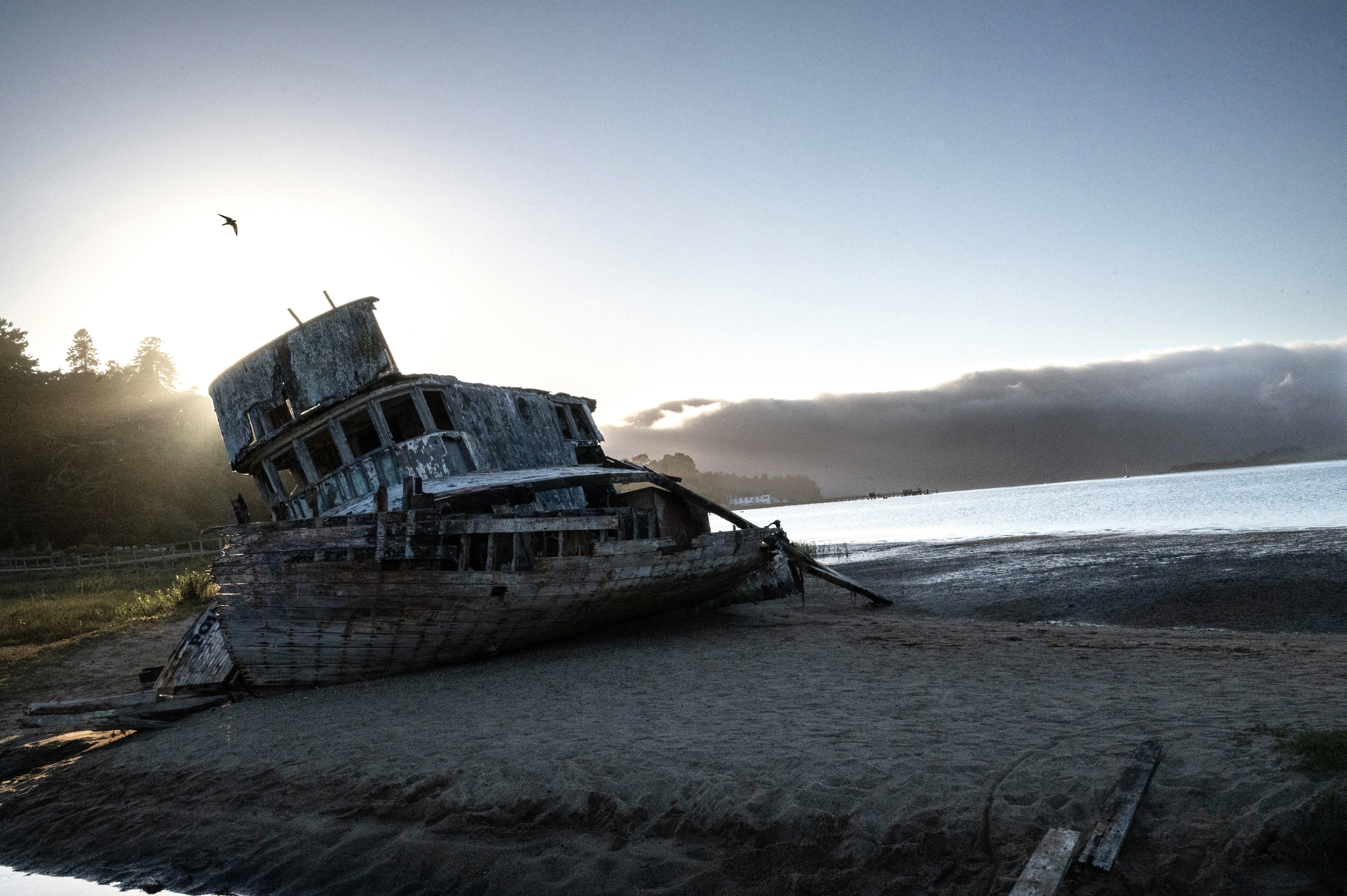 fall 2024. nikon z5. san jose, ca.