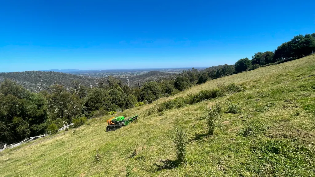 The Green Climber Mowing Lawns