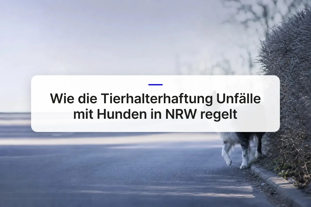 Tierhalterhaftung Unfall Hund overview