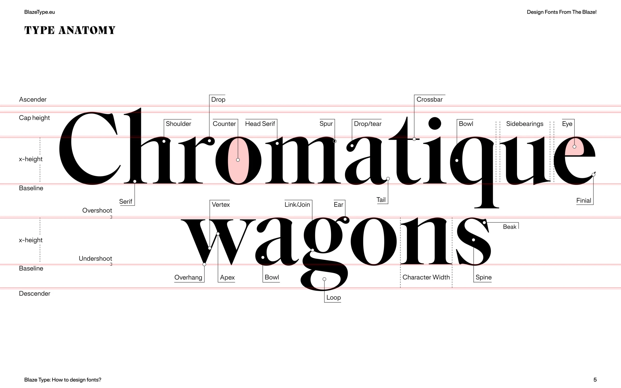 Type Anatomy