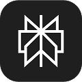 Platform logo