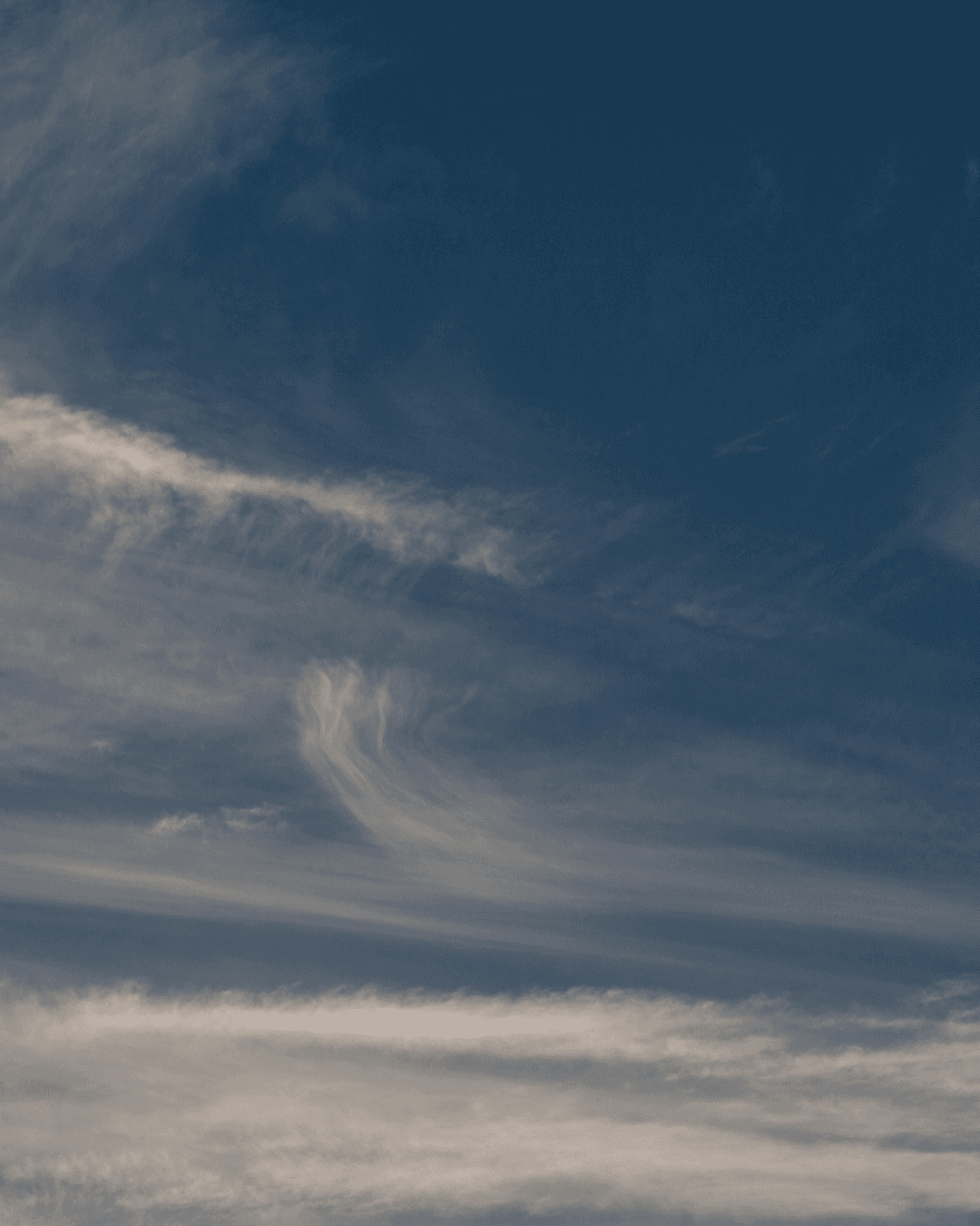 Woman potting a plant on a porch