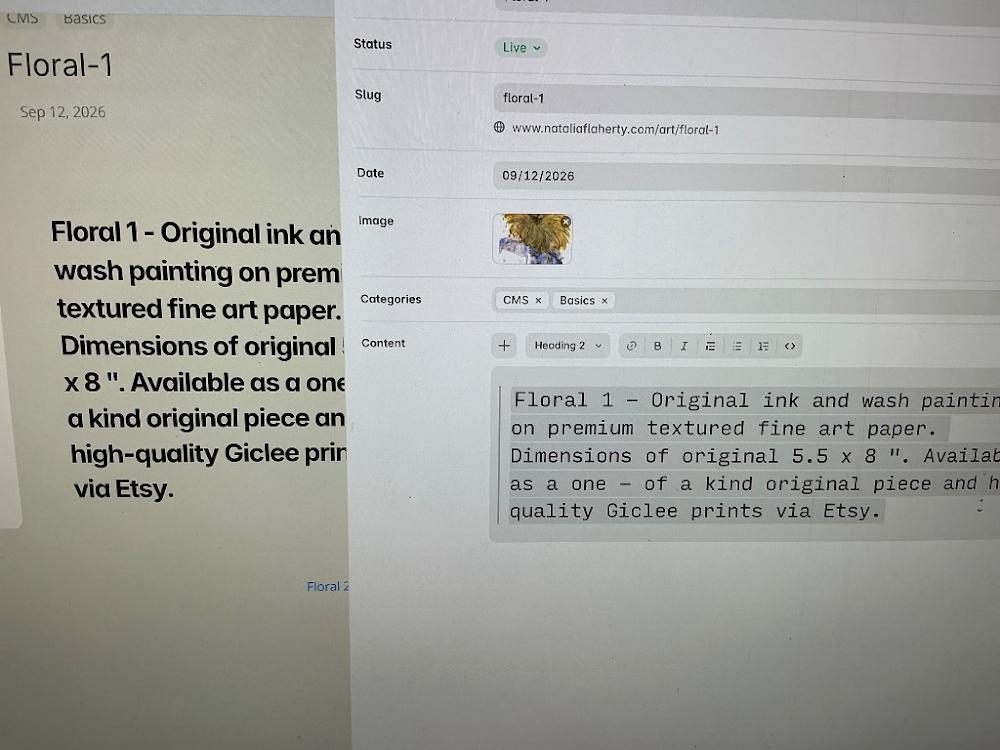 Visually searched image