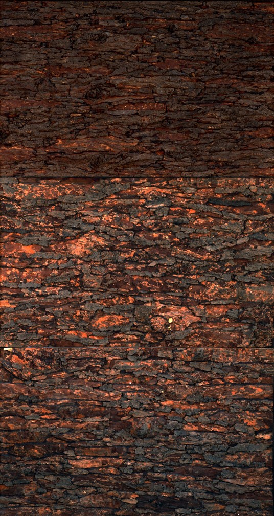 herd of sheep on road painting