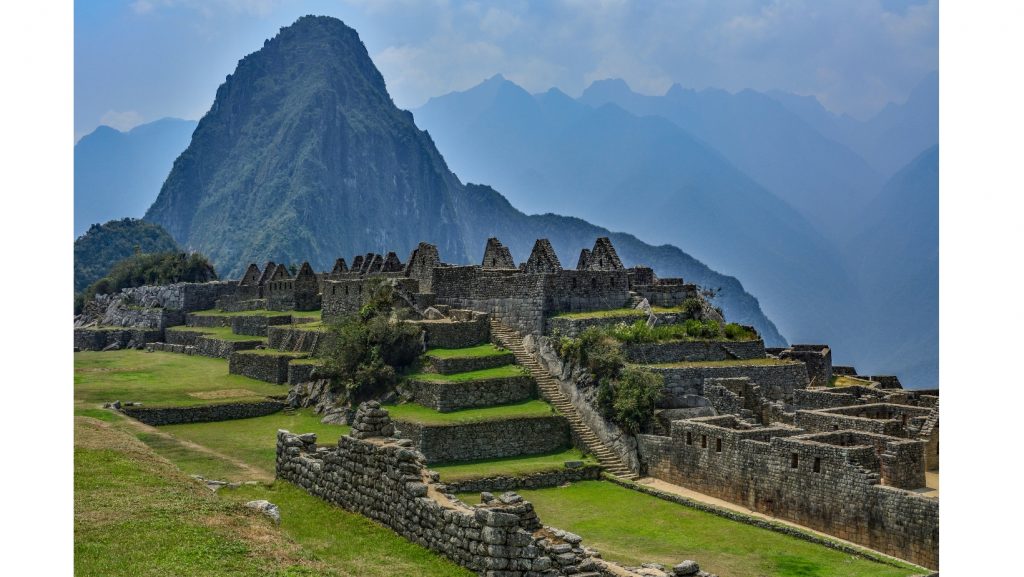 Como o próprio nome já diz, a sua origem vem do País Peru.