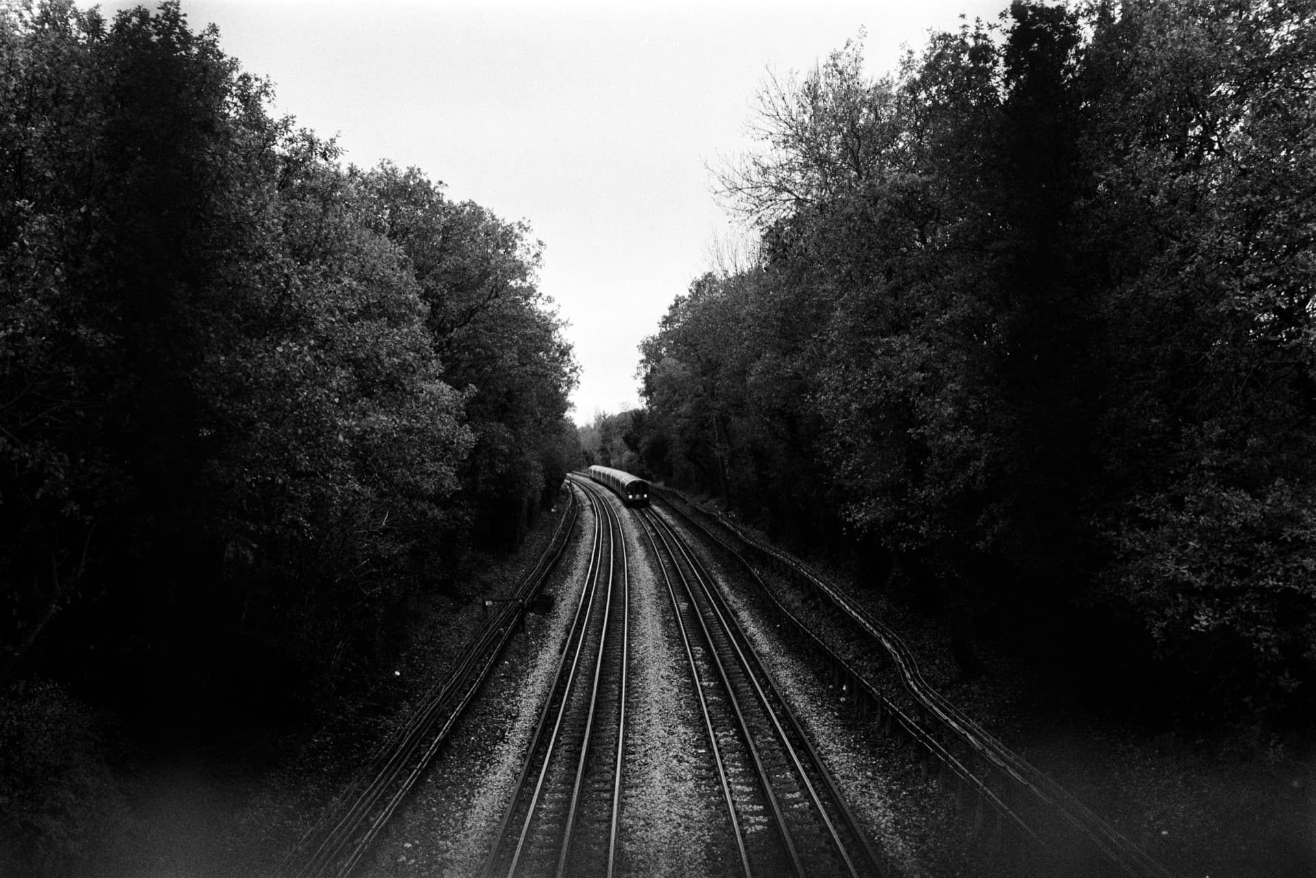 Railway tracks curving through tree-lined cutting with train approaching in distance