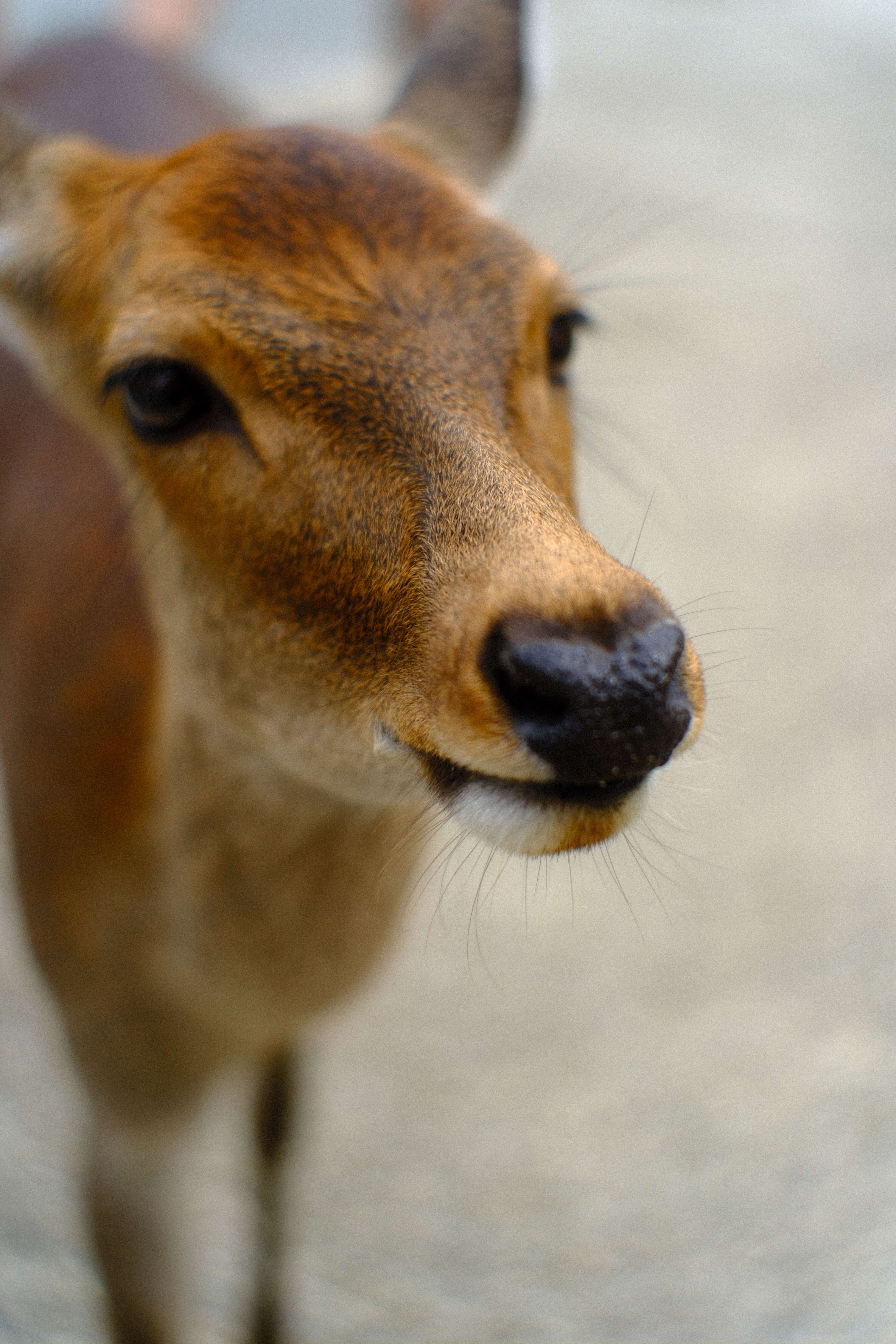 Outdoor Café Seating in a Sunlit Alley