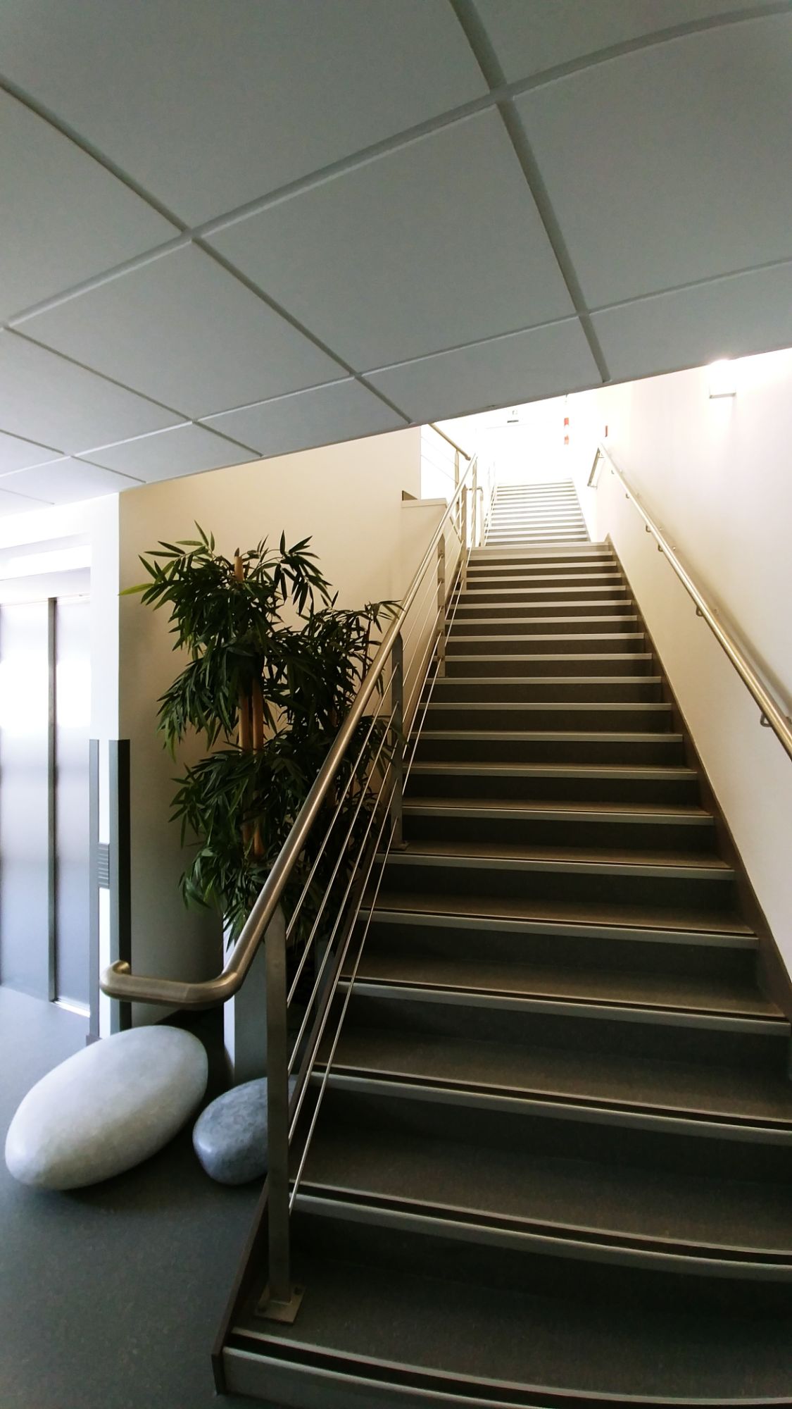 CROMG medical tam architecture 7