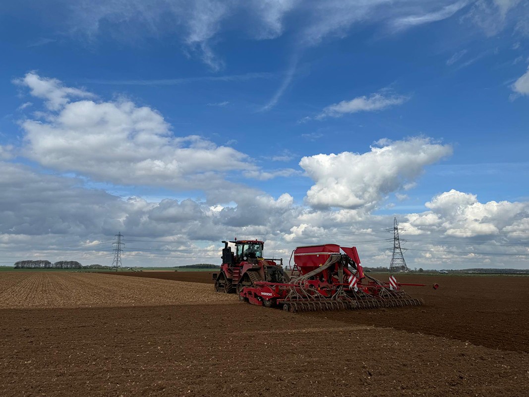 A red Case IH Quadtrac tractor with a Horsch precision seed drill sowing peas into a large, freshly cultivated field under a dramatic blue sky with billowing white clouds, with electricity pylons visible in the distance.
