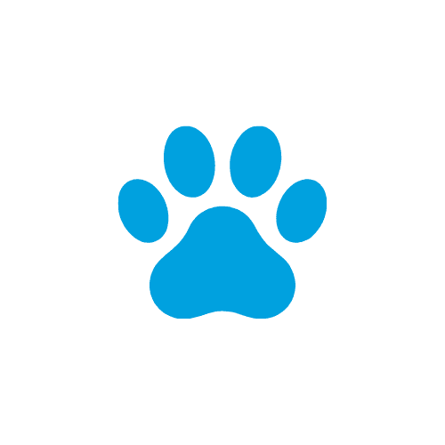 Pets Icon