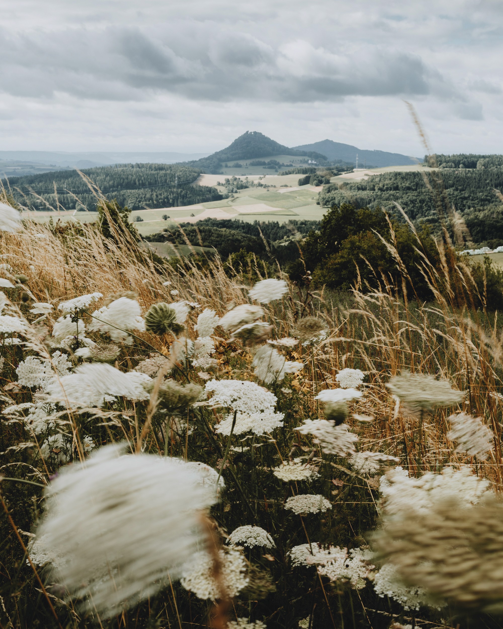 Bellevoire hotel location