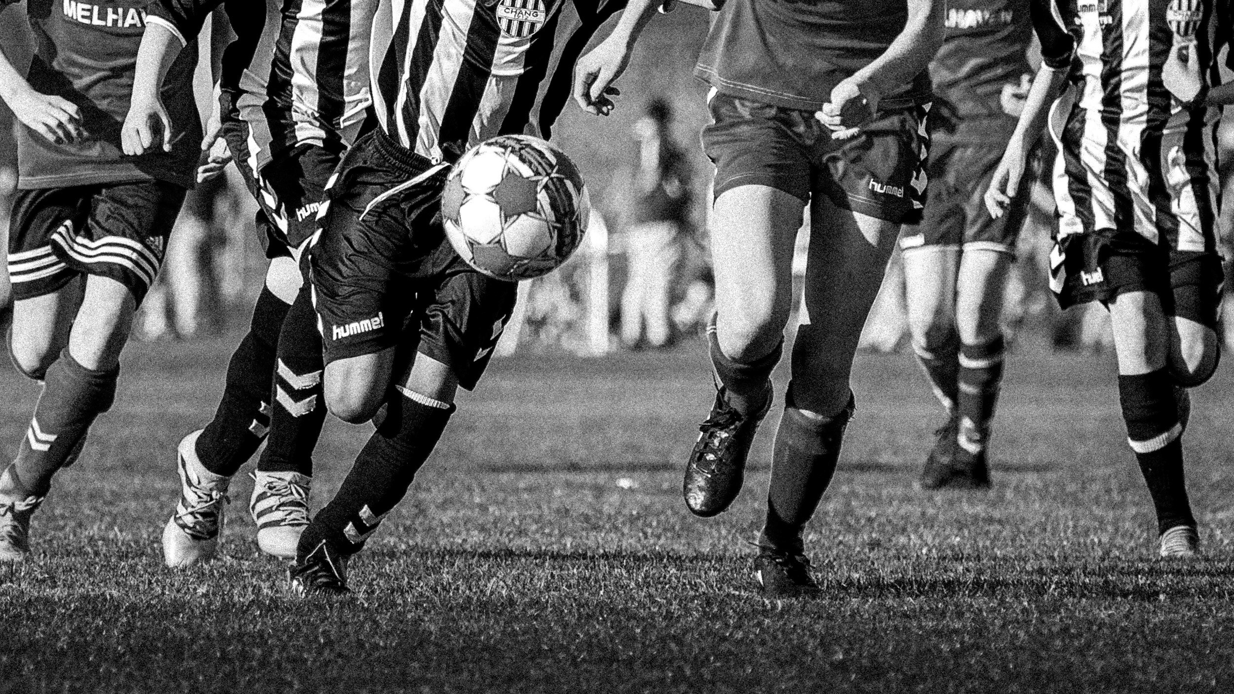 REACT | Servicio de entrenamiento para deportistas jóvenes