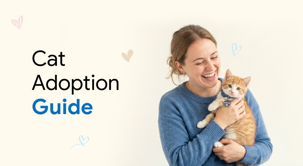 A pet owner is hugging her newly adopted cat.