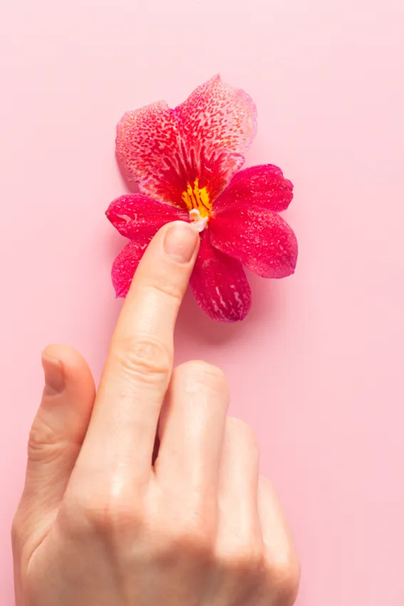 finger touching a flower