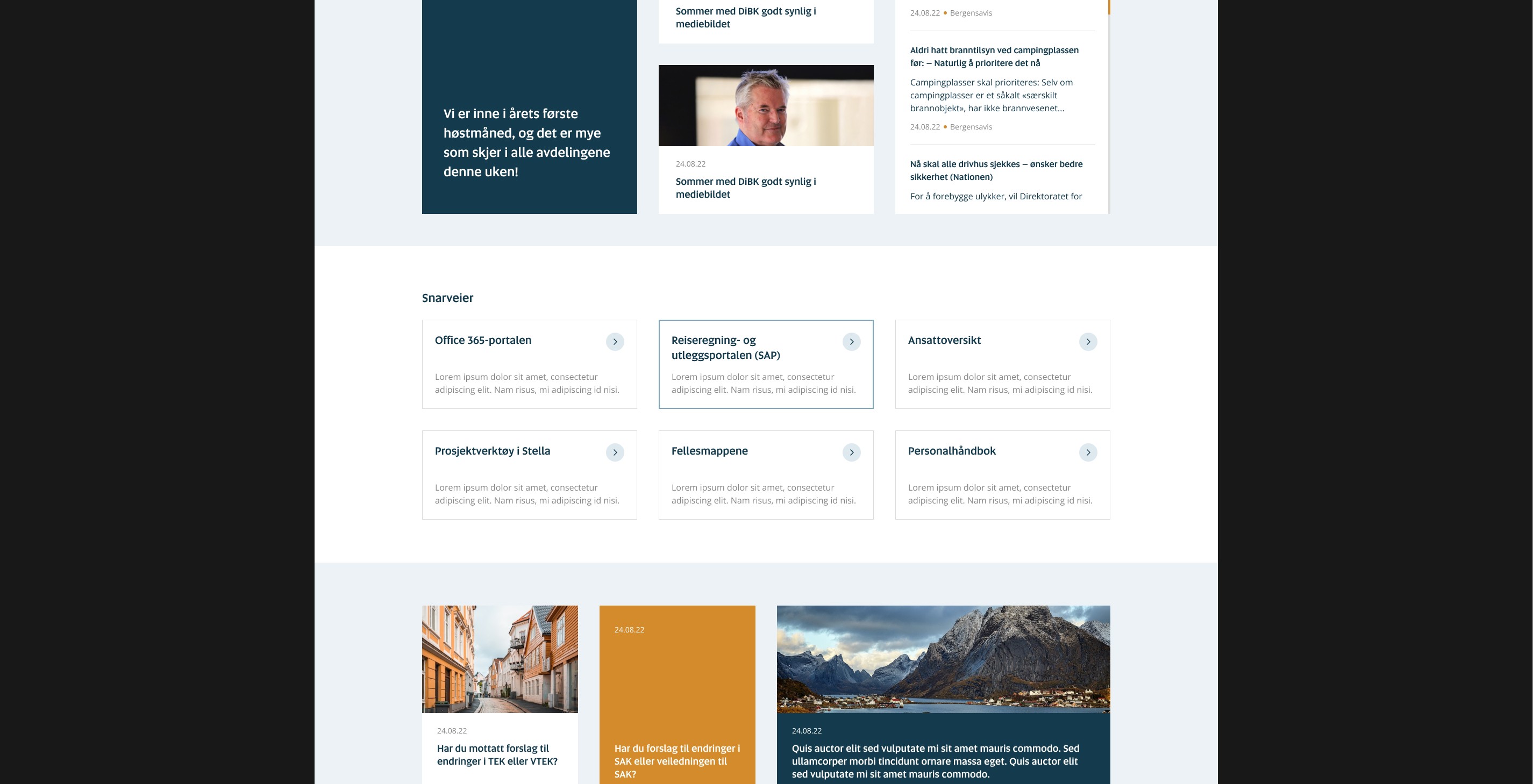 Skjerdumper av landingssider