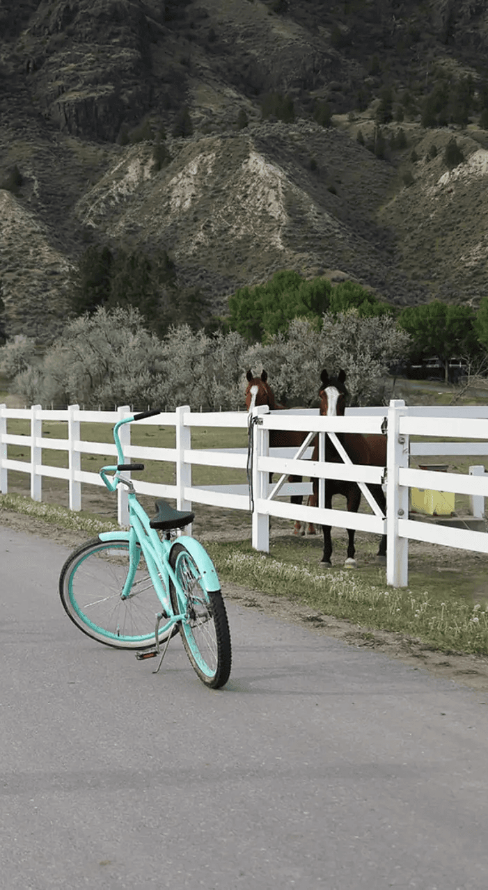 A grayscale image of a bicycle leaning against a wooden fence on a road.