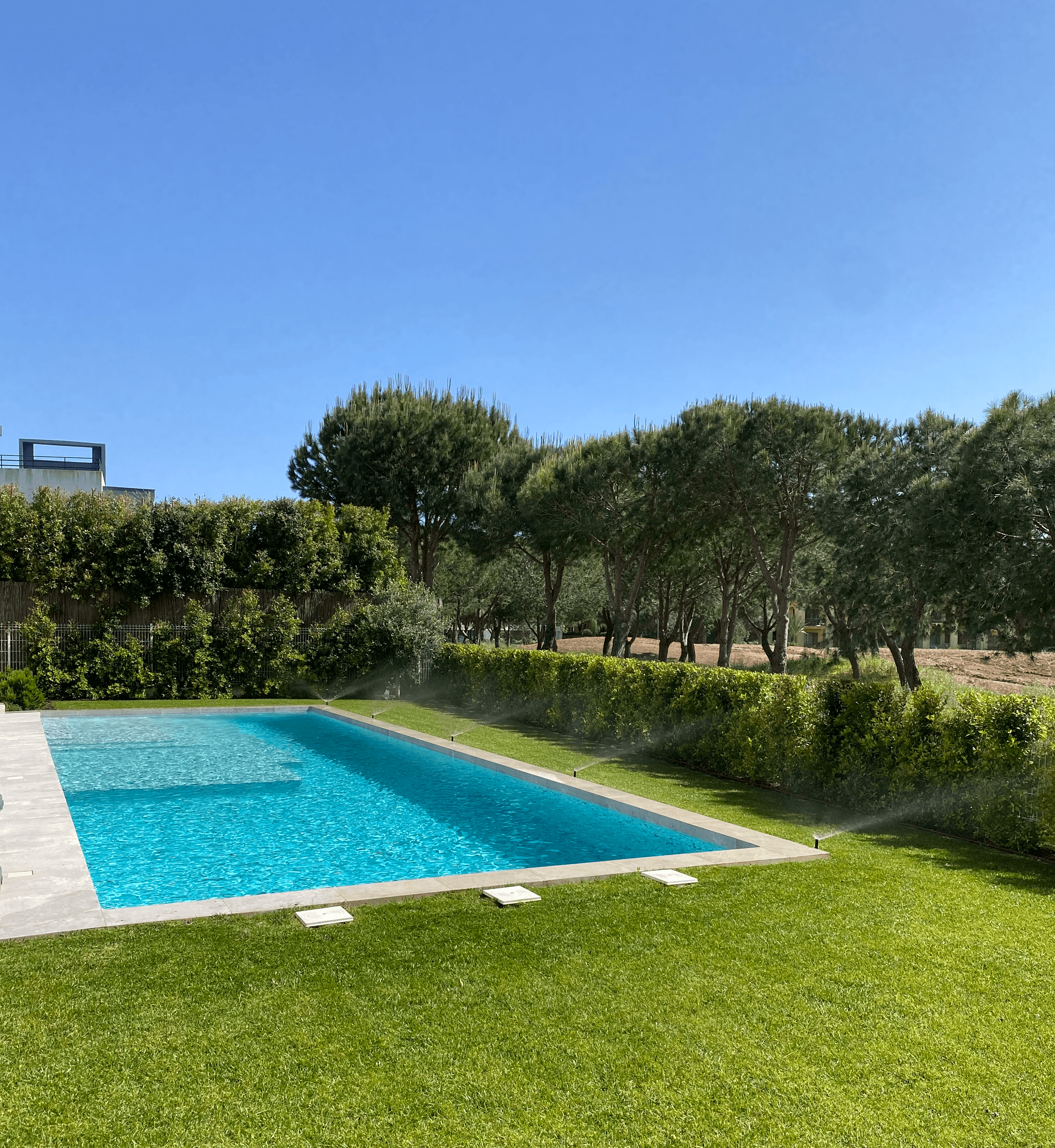 garden with a pool
