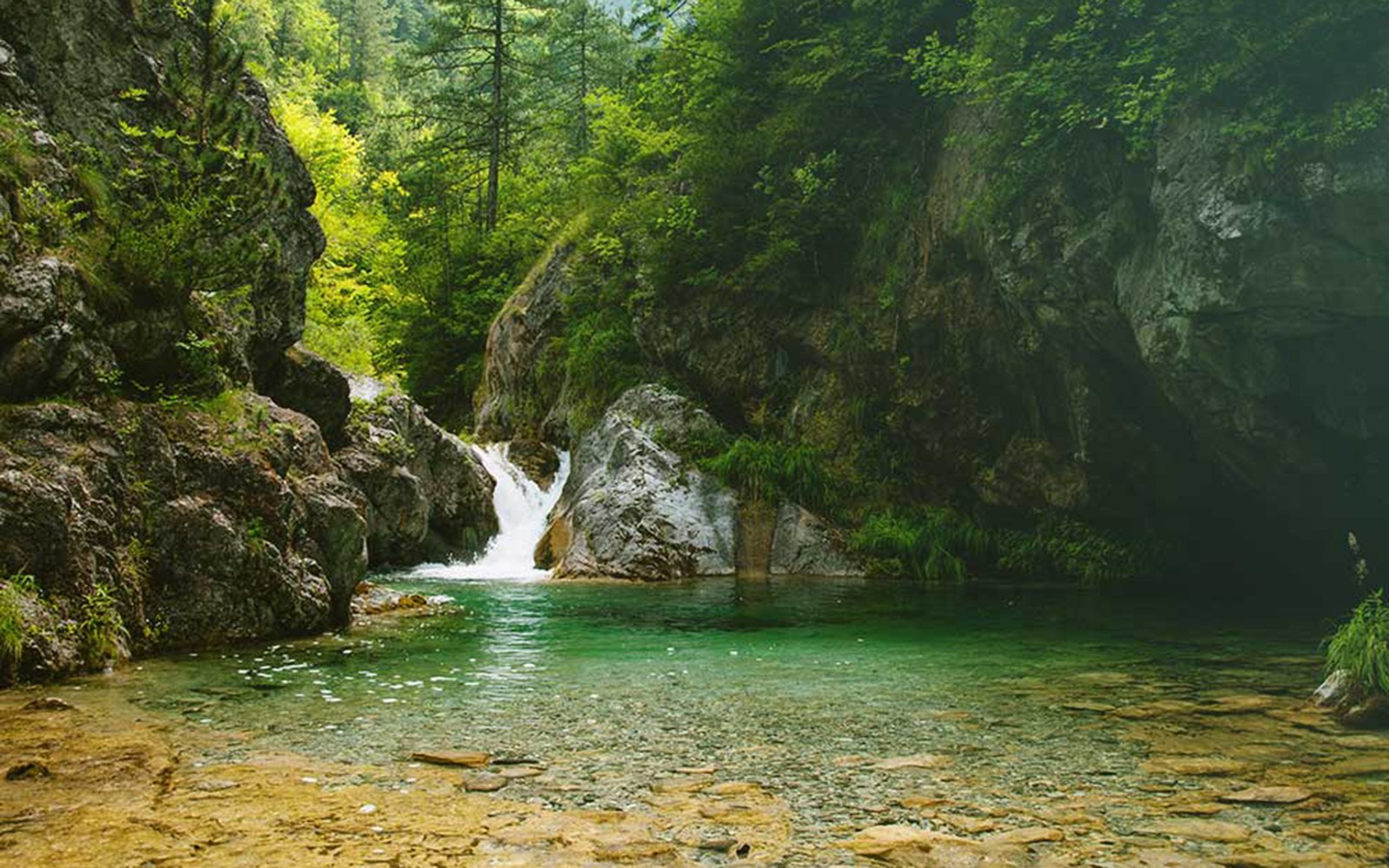 Vízesés és tiszta medence a buja erdőben az Olümposz-hegységben, Görögországban.