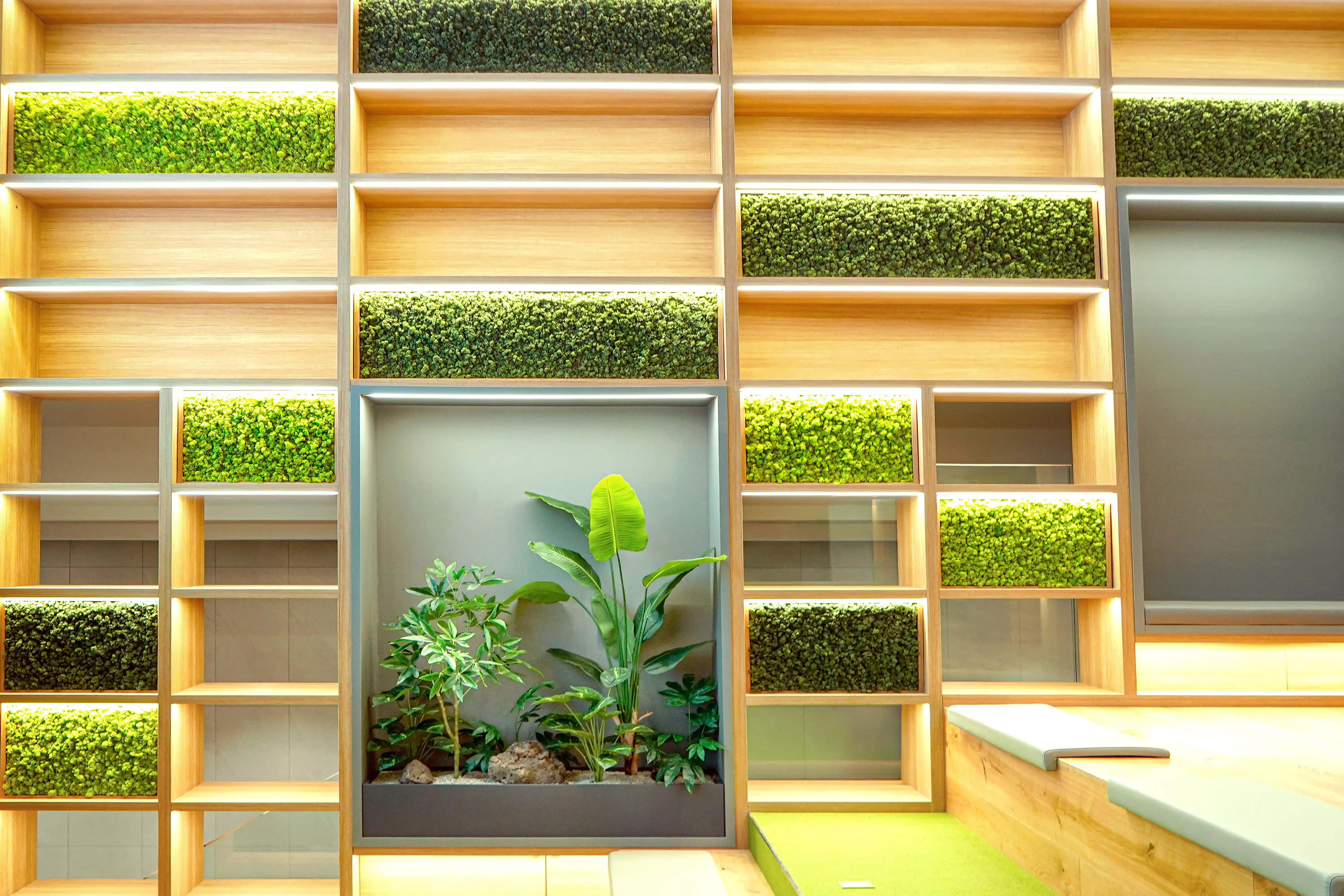 모스가 함께 활용된 플랜테리어의 예