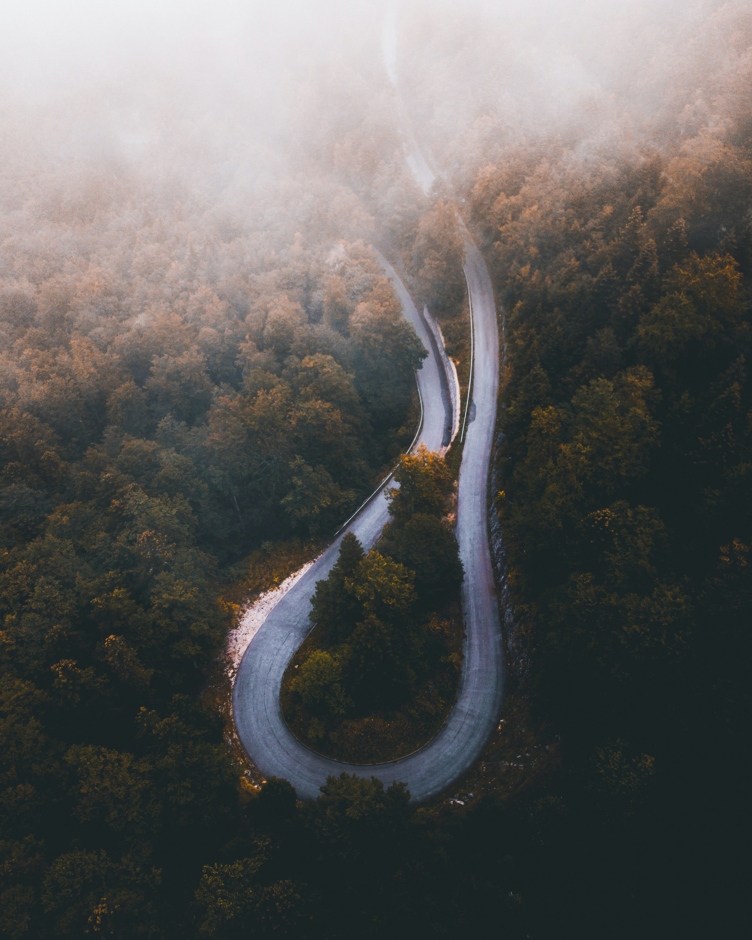 Close-up of a dark green leaf showing its textured surface and central vein against a muted background.