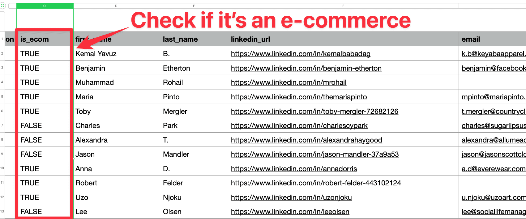 Use AI to Verify If the Company Is Really an E-Commerce