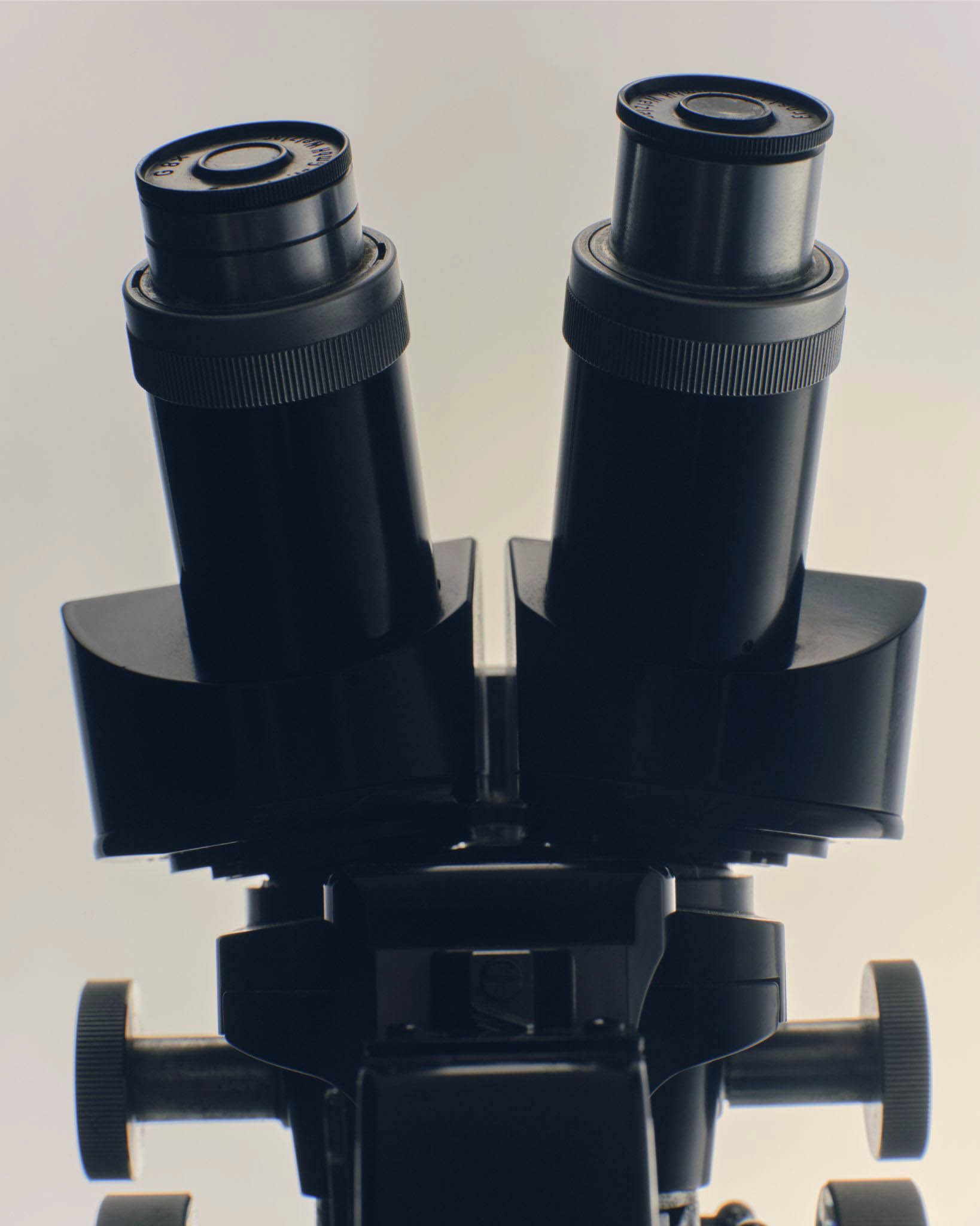 image de microscope en gros plan