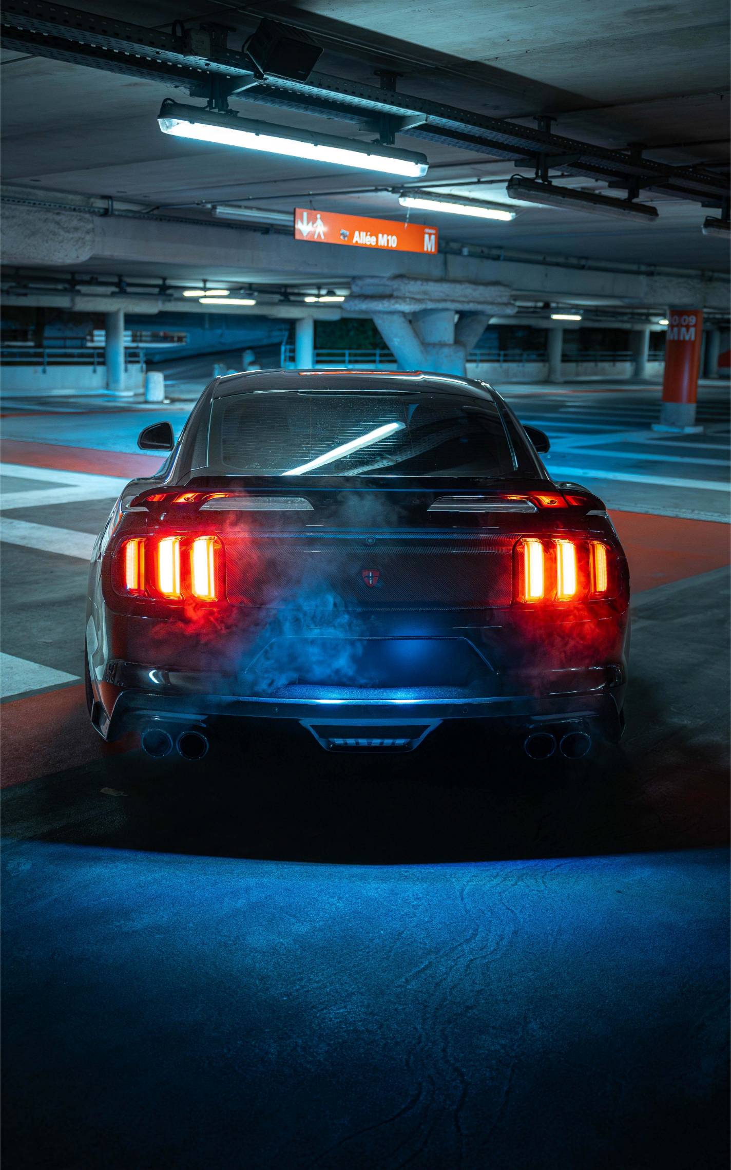 Dynamic picture of a cyclist riding downhill