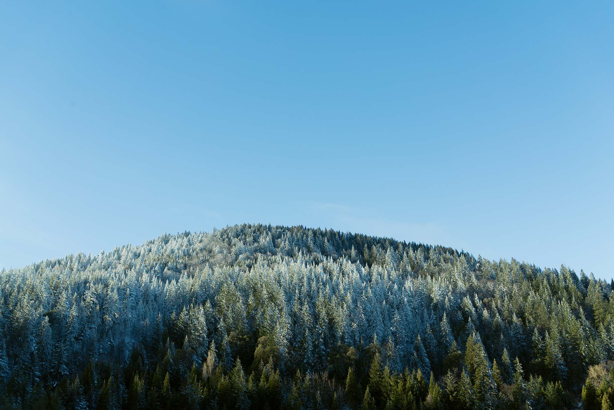 image of a woman on a trail