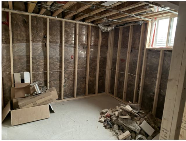Basement Livable Space — before