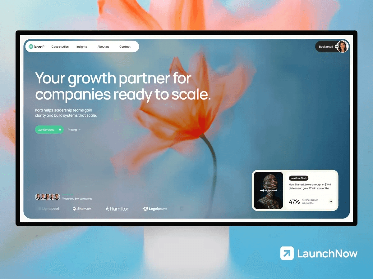 Image of a consultant website template
