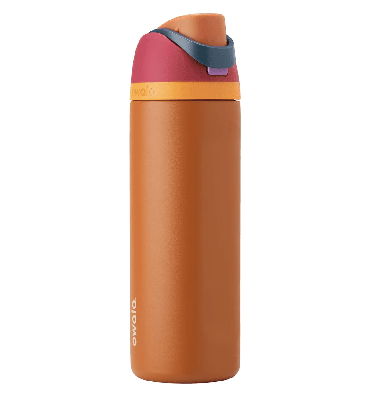 Owala FreeSip Insulated Stainless Steel Water Bottle with Straw