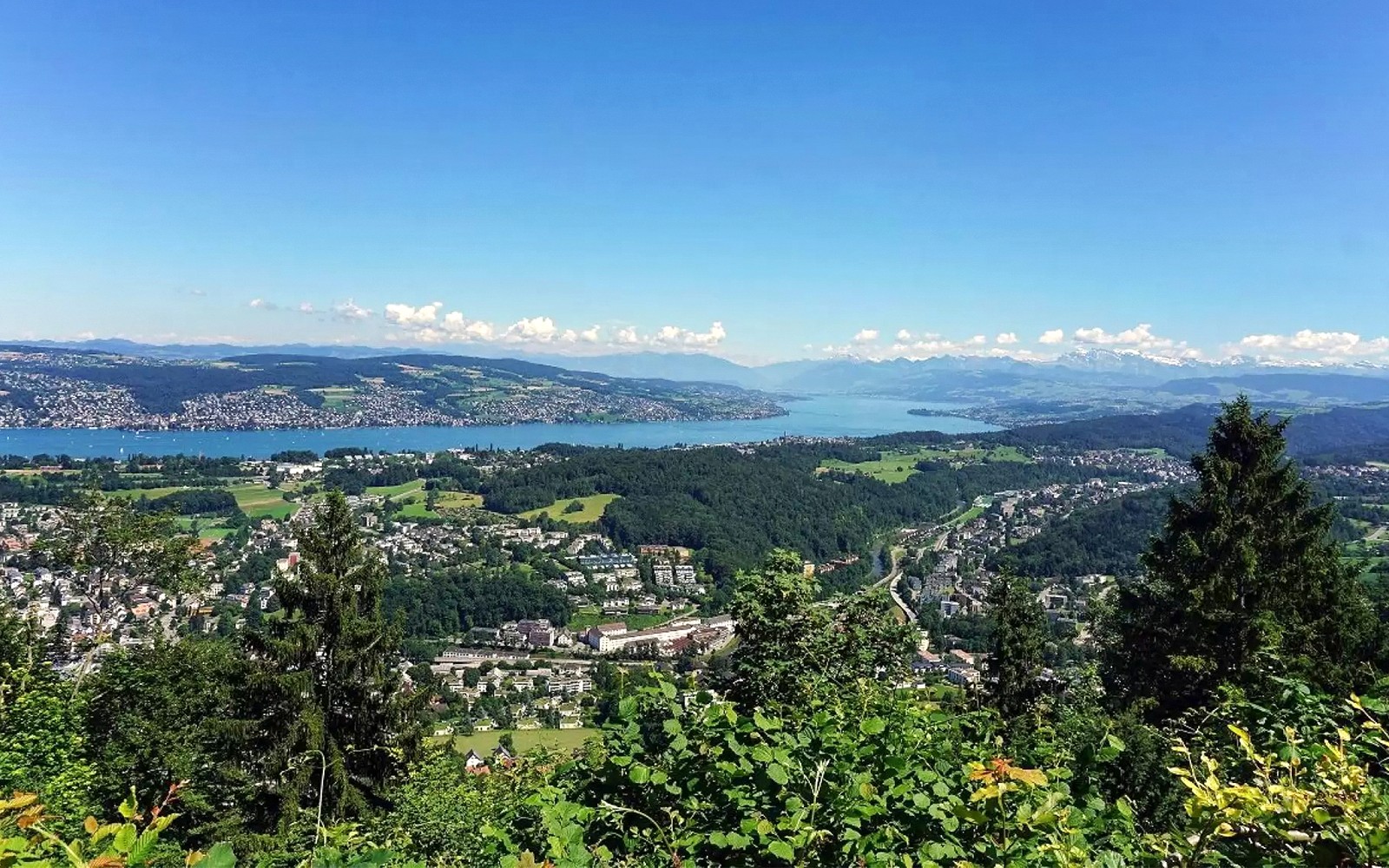 Flygfoto över Zürichsjön och det omgivande landskapet från Felsenegg-linbanan.