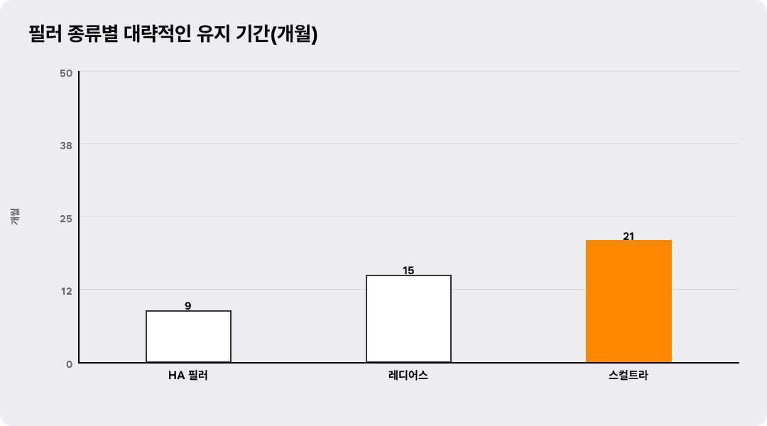 필러 종류별 대략적인 유지 기간(개월)